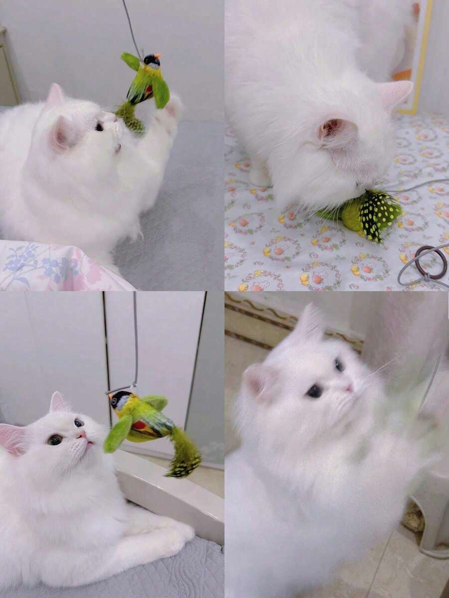 1 PC/2pcs/3pcs Cat Toy - Realistic Chirping Small Bird, Self-Entertained To Relieve Boredom,Interactive Cat Toys Hanging Squeaky Simulation Bird Plush Cats Pets Teasing Toys With Artificial Feathers Kitten Chirping Bird Toy,There Is A Discrepancy Between The Color And Length Of The Feathers, - Multicolor - View 10