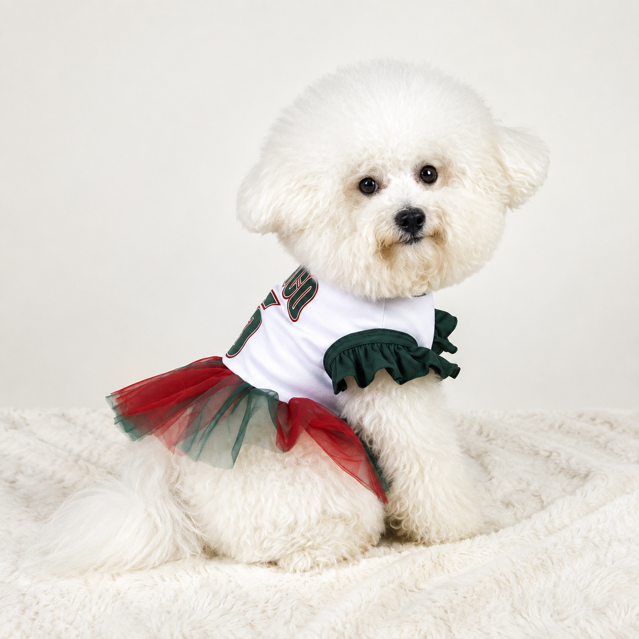 Mexico Team Soccer Fans Skirt Outfit For Pets