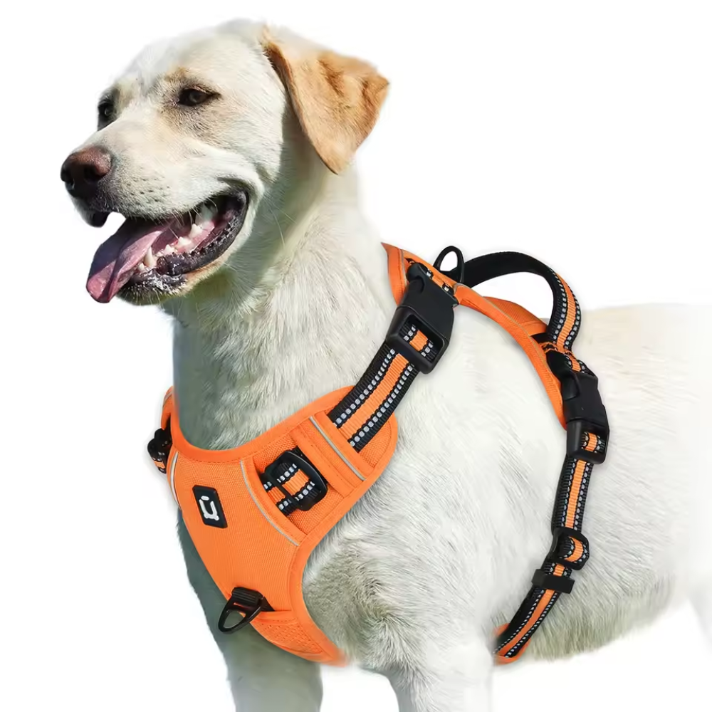 Reflective No Pull Dog Harness With Handle For Easy Walking