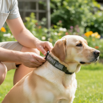 Adjustable Tactical Dog Collar