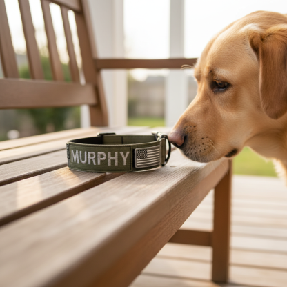 Adjustable Tactical Dog Collar