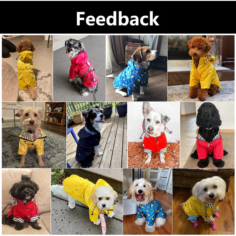 Dog Zip Up Dog Raincoat With Reflective Buttons-Paw Print Pad