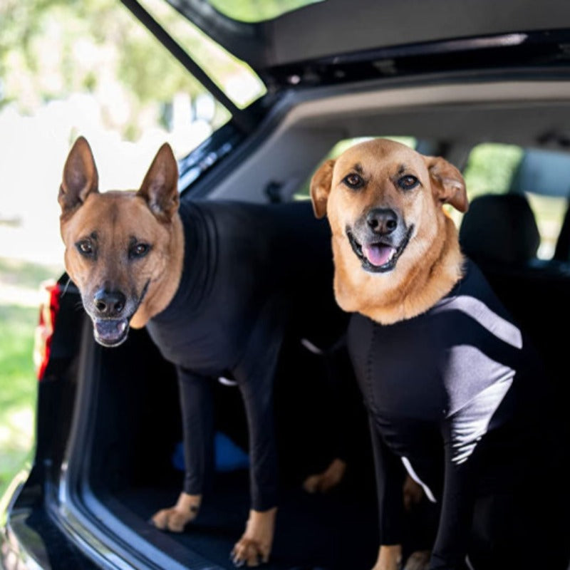 Bodysuit For Dogs Onesize Shedding Shirt-Paw Print Pad