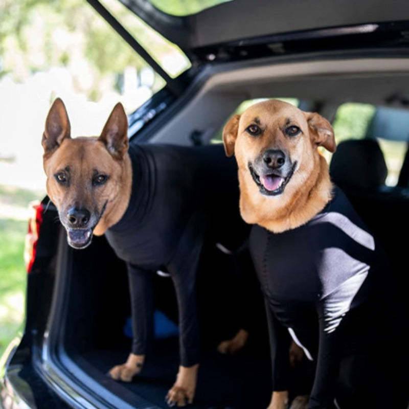 Bodysuit For Dogs Onesize Shedding Shirt-Paw Print Pad