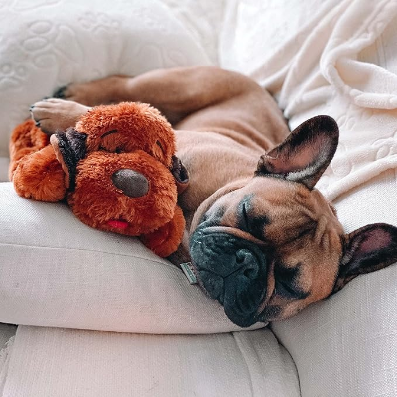 Soft Plush Toy For Puppies-Paw Print Pad