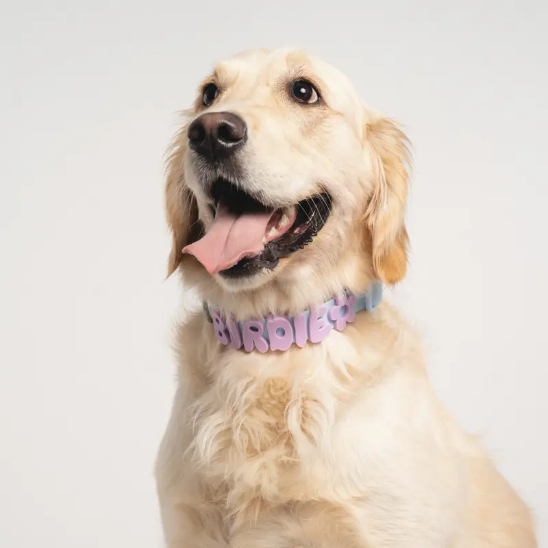 Letters And Symbols For Personalized Dog Collars And Leashes