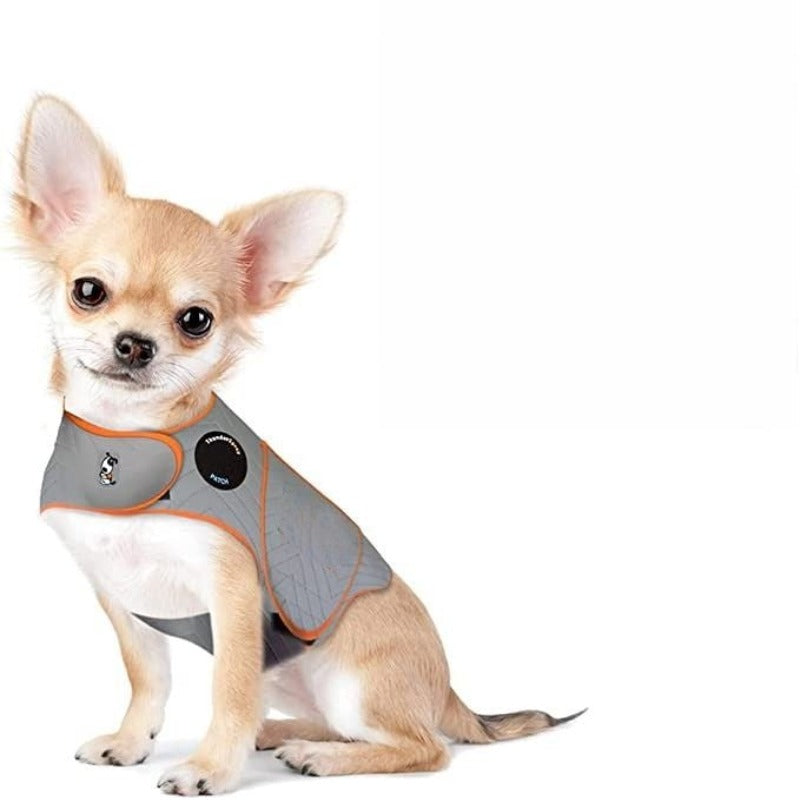 Dogs Clothing, Dog Jacket, Platinum, Large-Paw Print Pad