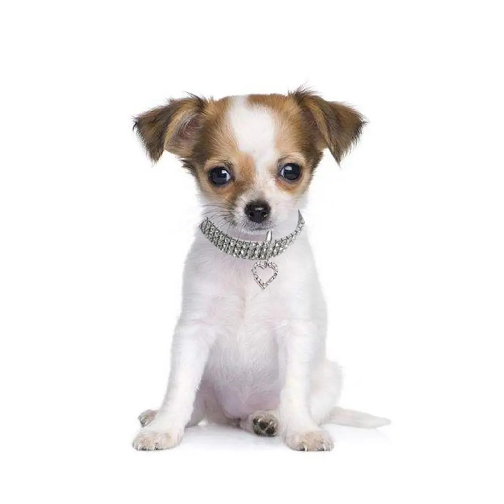Adjustable Rhinestone Decor Collar With Pendant For Pets