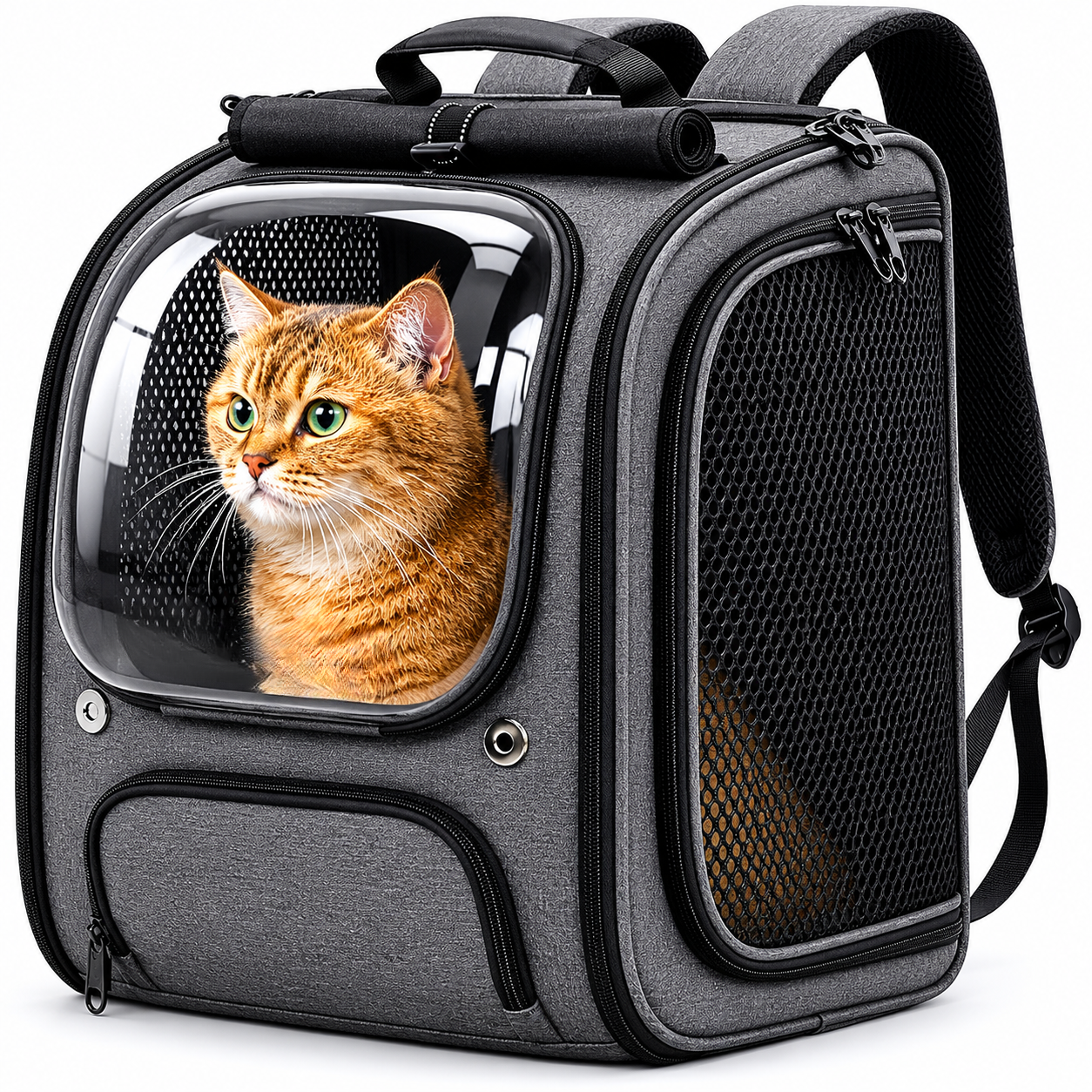 Shaded 3D Design Bubble Backpack For Pets