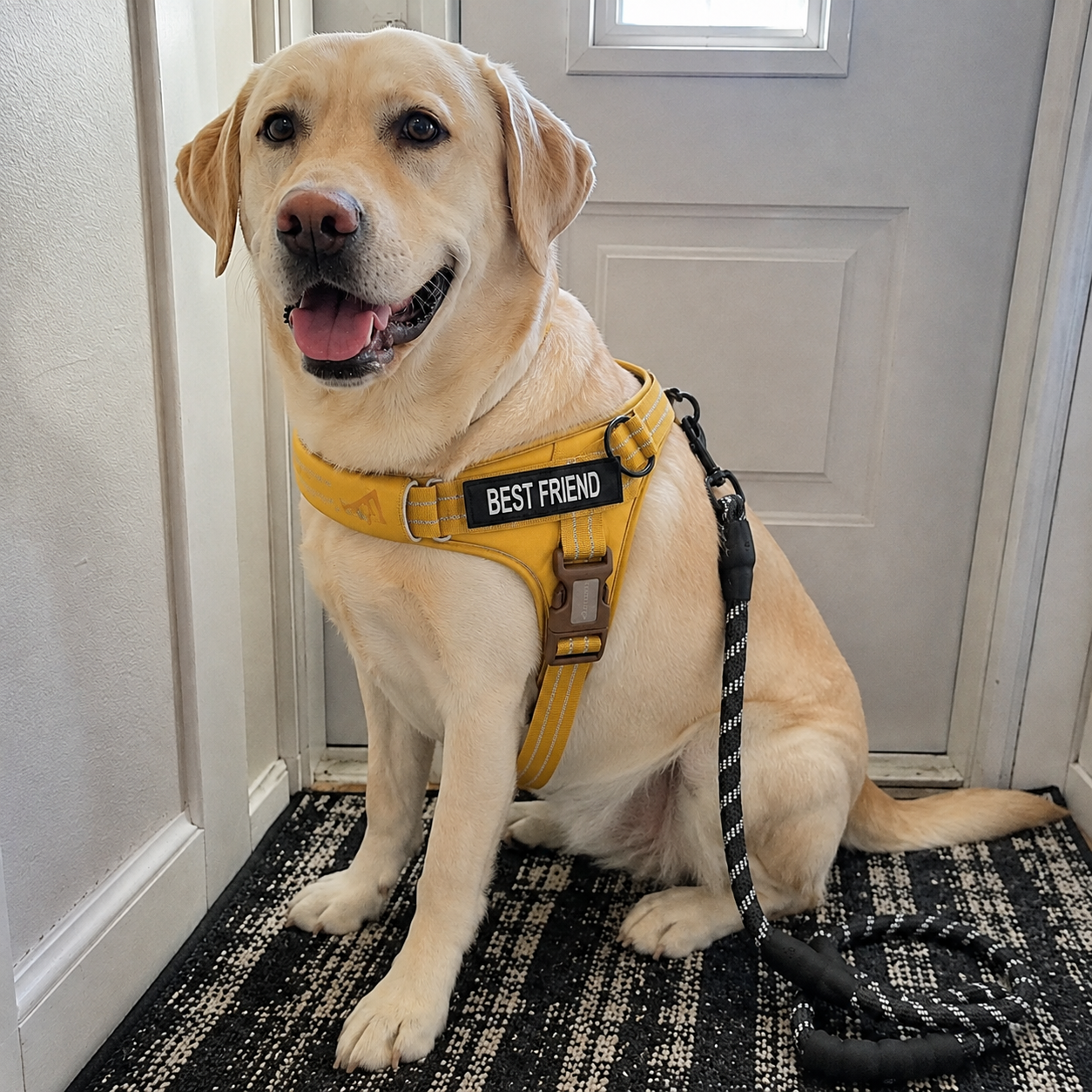 Reflective Adjustable Soft Padded Dog Harness and Leash Combo