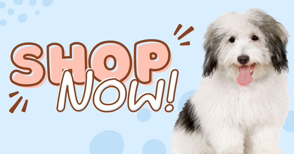 Shop Now