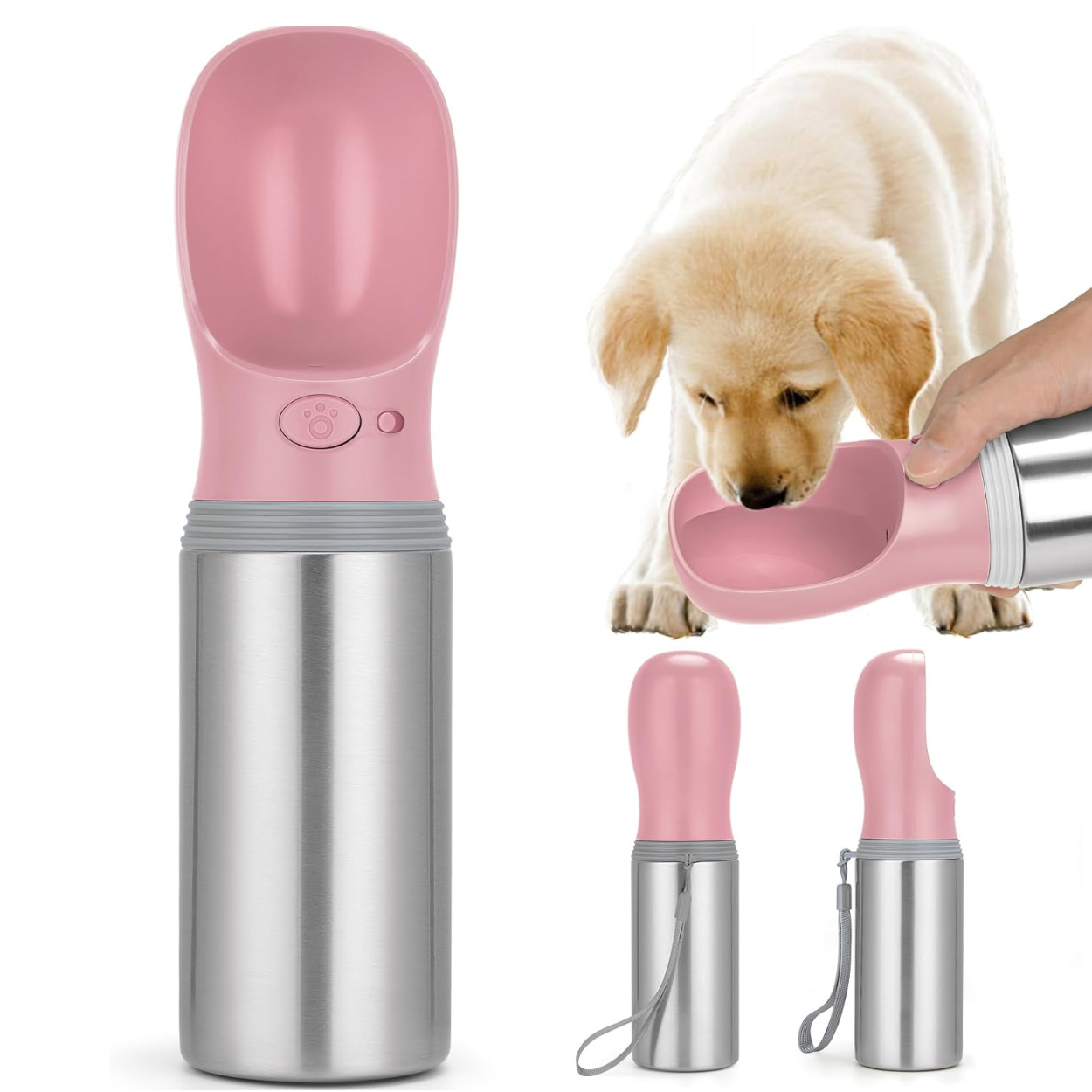Portable 14 OZ Stainless Steel Dog Water Bottle for Outdoor Travel