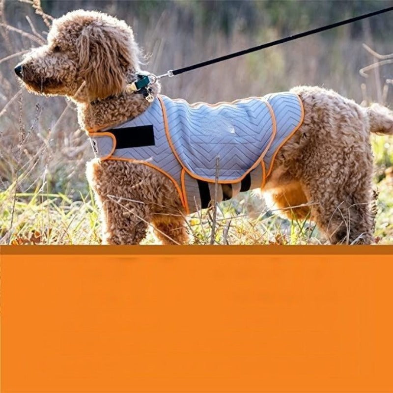 Dogs Clothing, Dog Jacket, Platinum, Large-Paw Print Pad