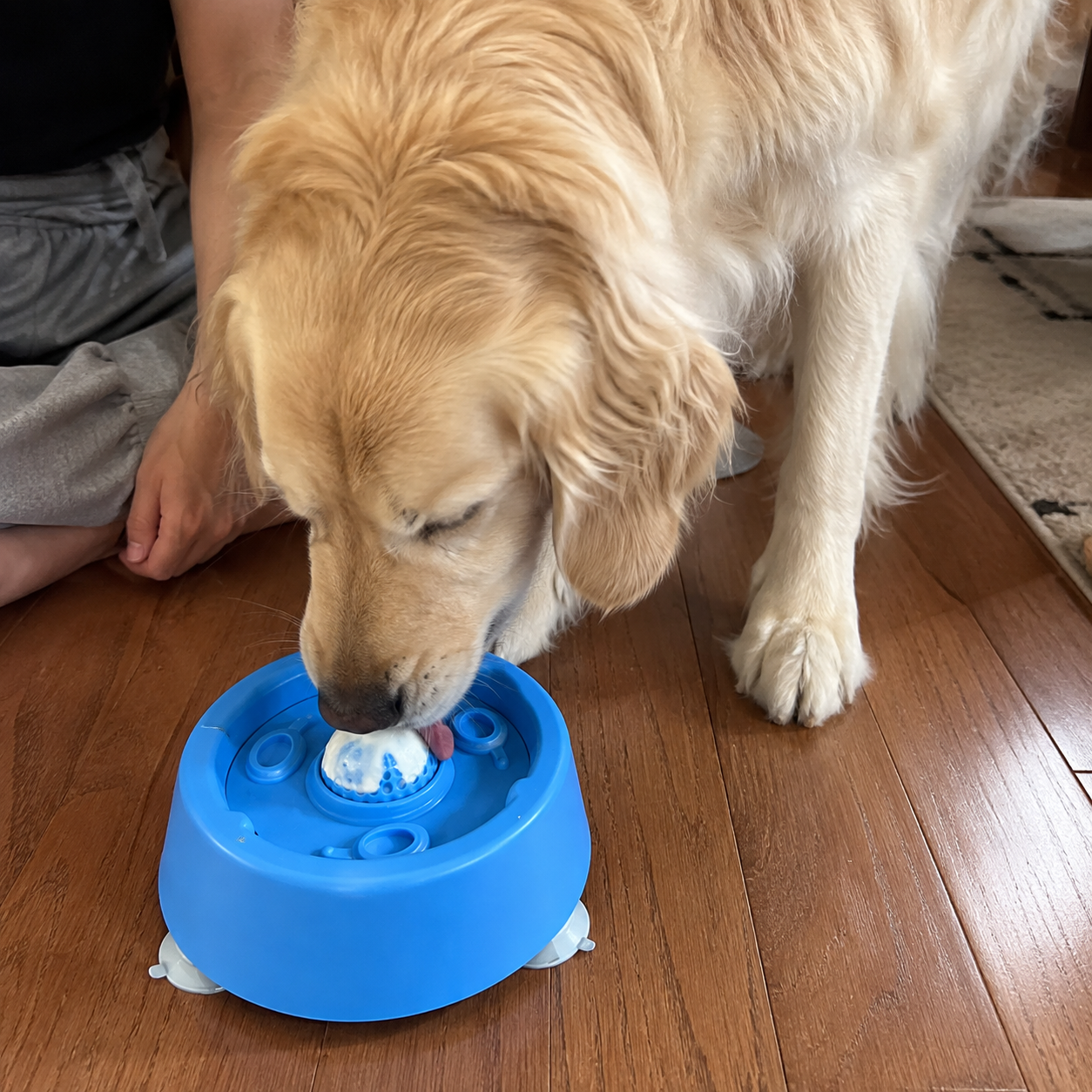 No Spill Dog Feeder Bowl With Suction Base