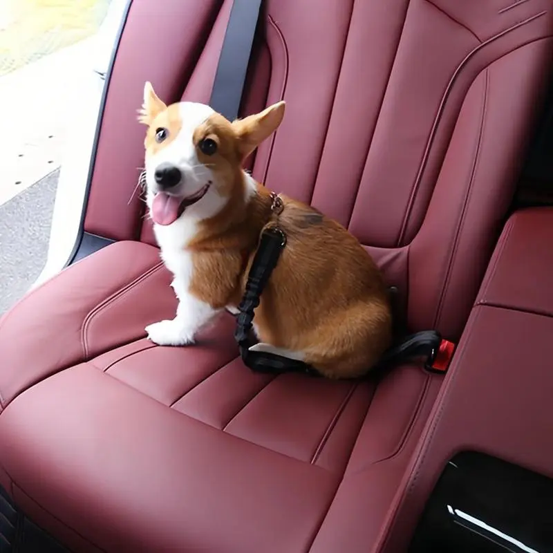 Adjustable Car Seat Belt Harness Leash For Pets