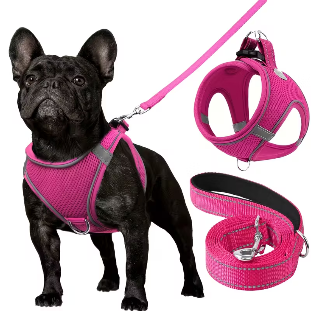 Adjustable Dog Harness With Leash Set And Reflective Trim
