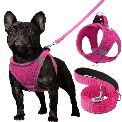 Adjustable Dog Harness With Leash Set And Reflective Trim