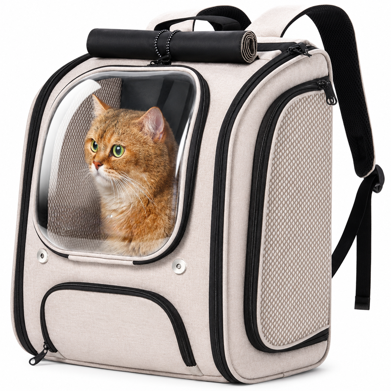 Shaded 3D Design Bubble Backpack For Pets