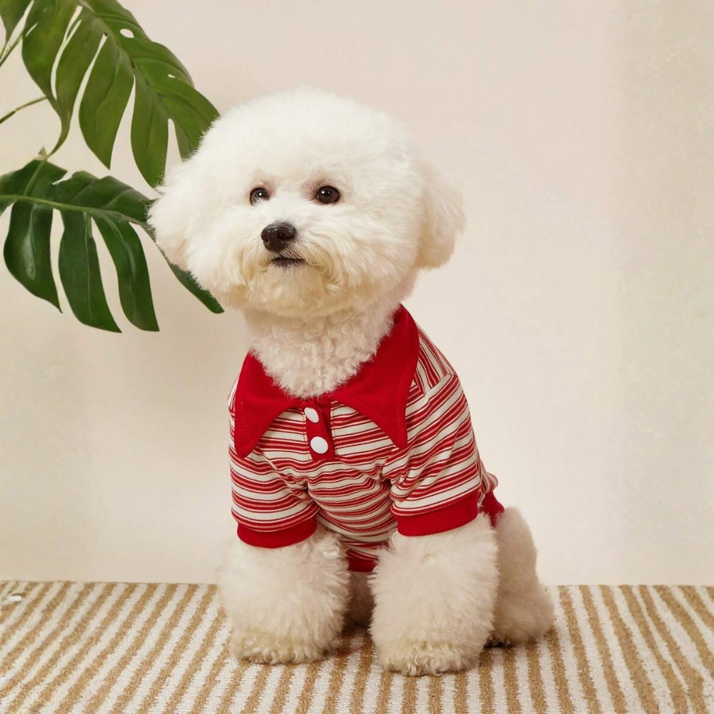 Striped Design Pet Polo Shirt For Cats And Dogs Winter Wear