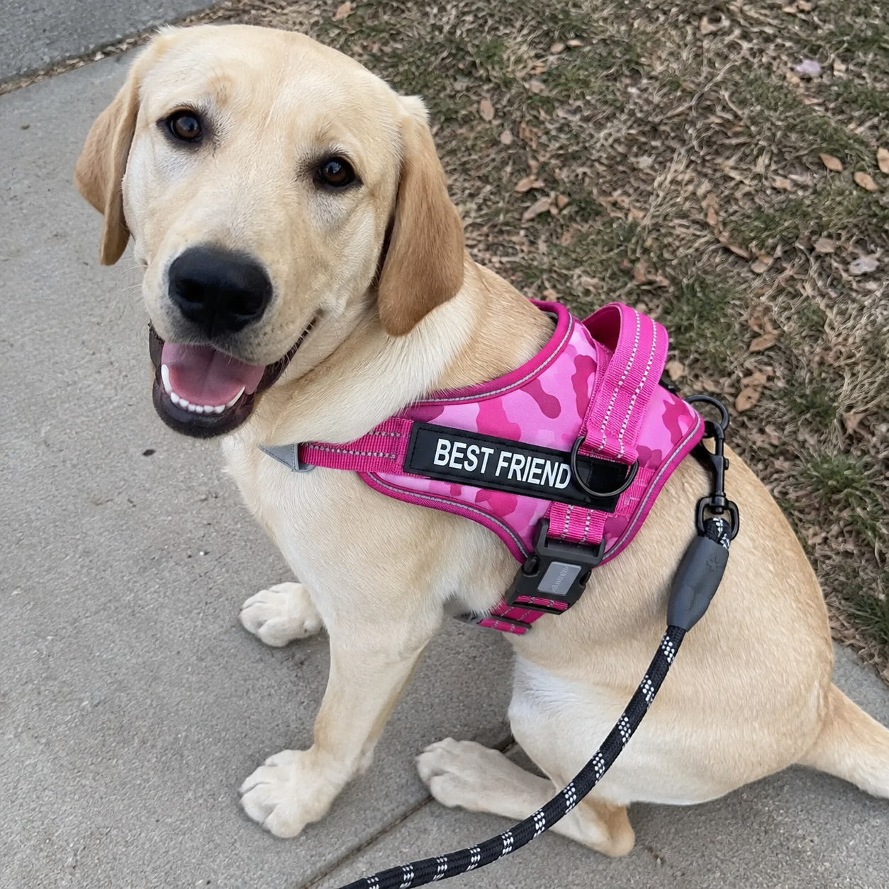 Reflective Adjustable Soft Padded Dog Harness and Leash Combo