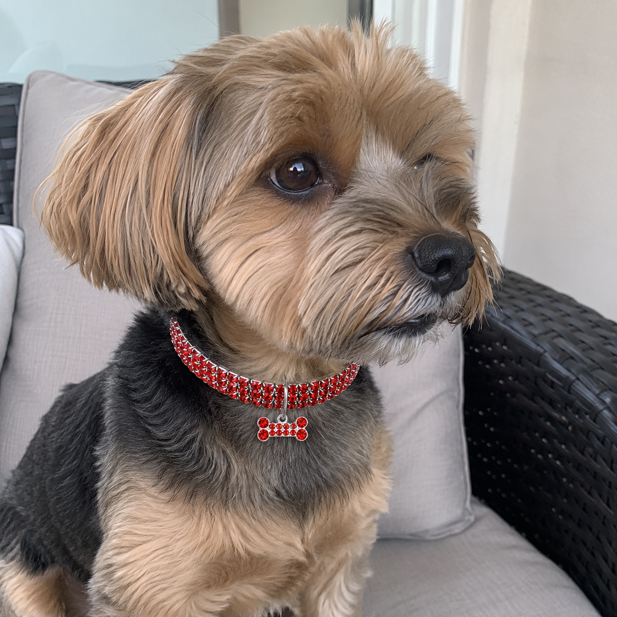 Adjustable Rhinestone Crystal Collar Chain For Dogs And Cats