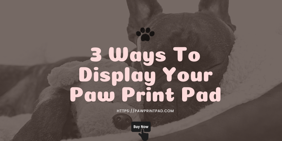 3 Ways To Display Your Paw Print Pad-Paw Print Pad