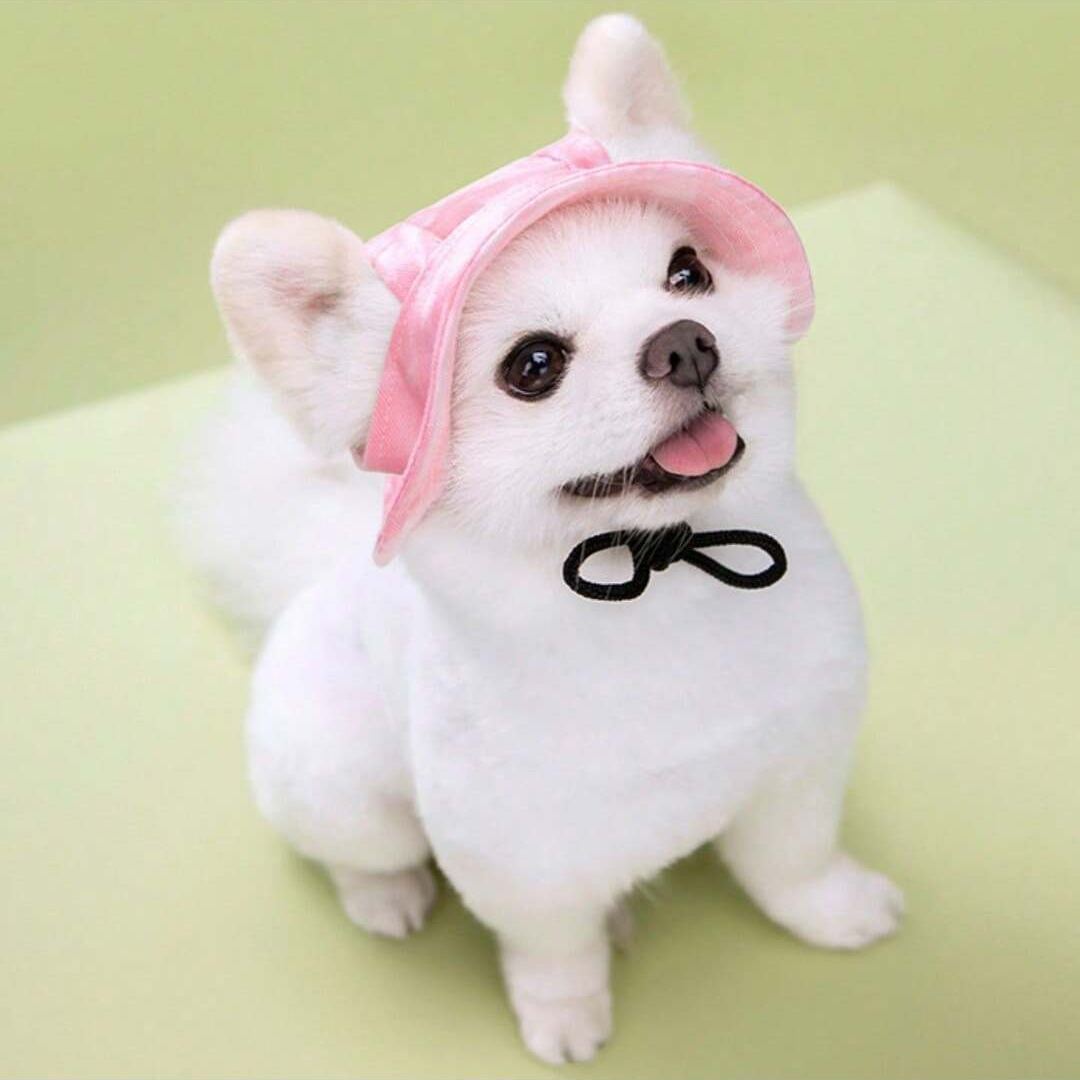 Adjustable Pet Bucket Hat With Wide Brim Design