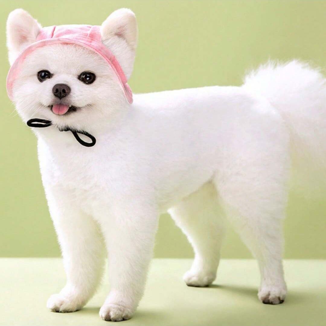 Adjustable Pet Bucket Hat With Wide Brim Design