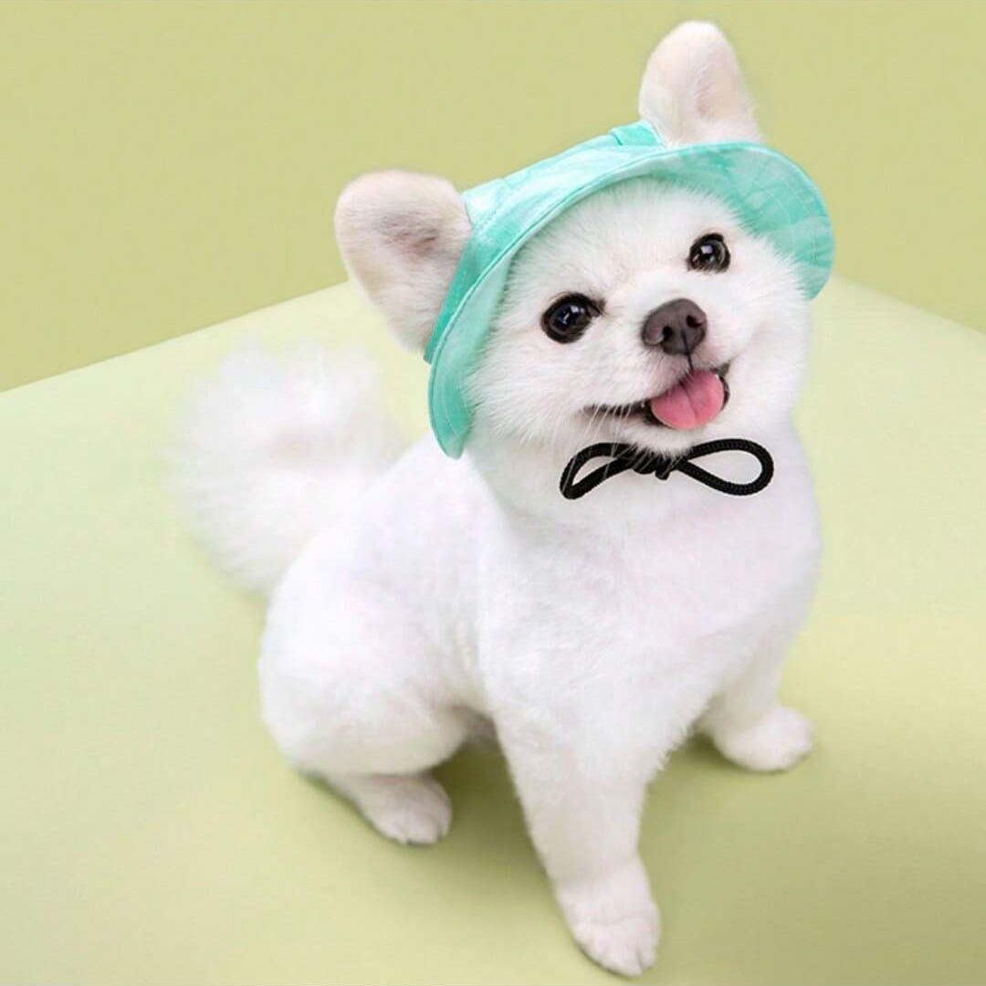 Adjustable Pet Bucket Hat With Wide Brim Design