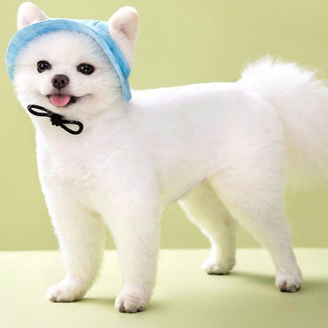 Adjustable Pet Bucket Hat With Wide Brim Design