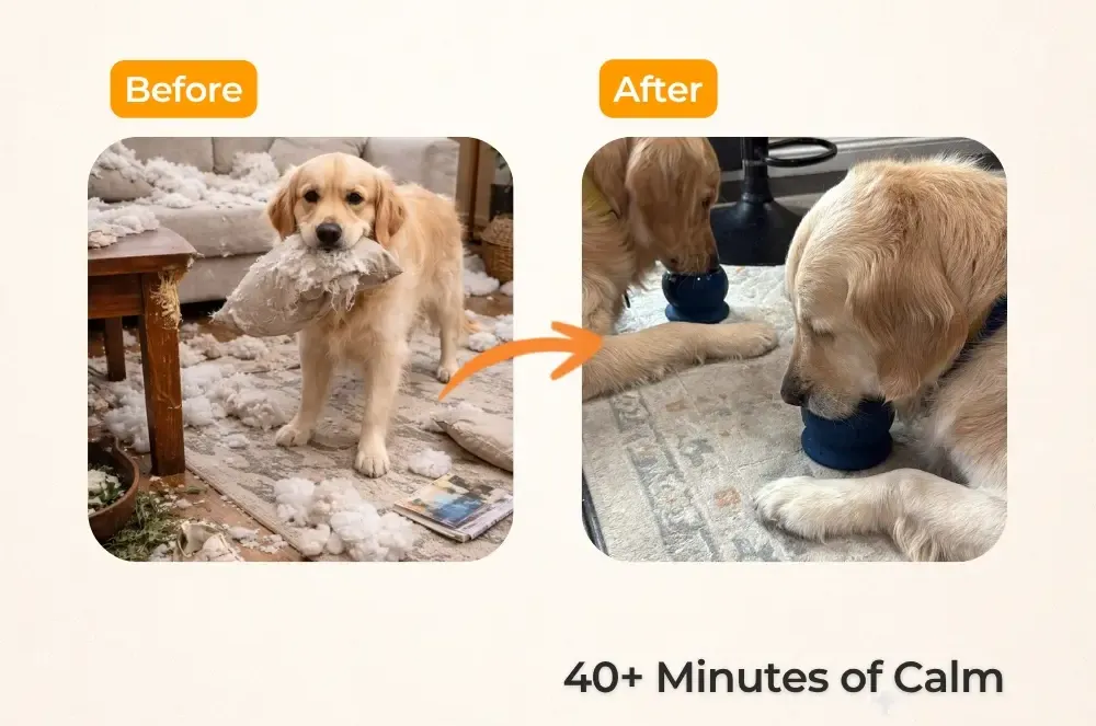 Freezball - Durable Fillable Dog Chew Bone