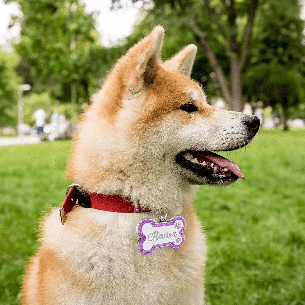 Personalized Pet Name Tag Bone Shape Collar Pendant