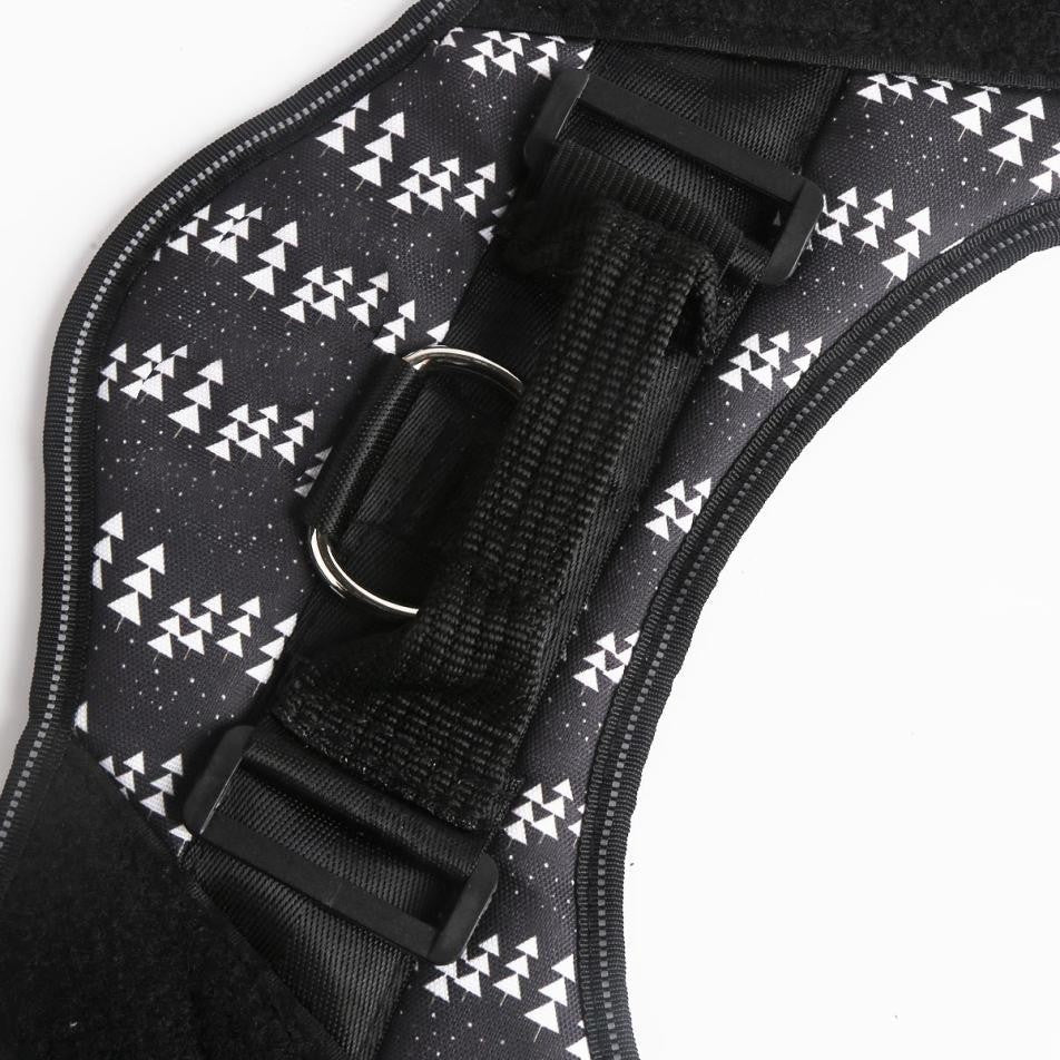 Custom No Pull Dog Harness With Name and Phone Number, Heavy Duty Personalized Pet Vest-Paw Print Pad