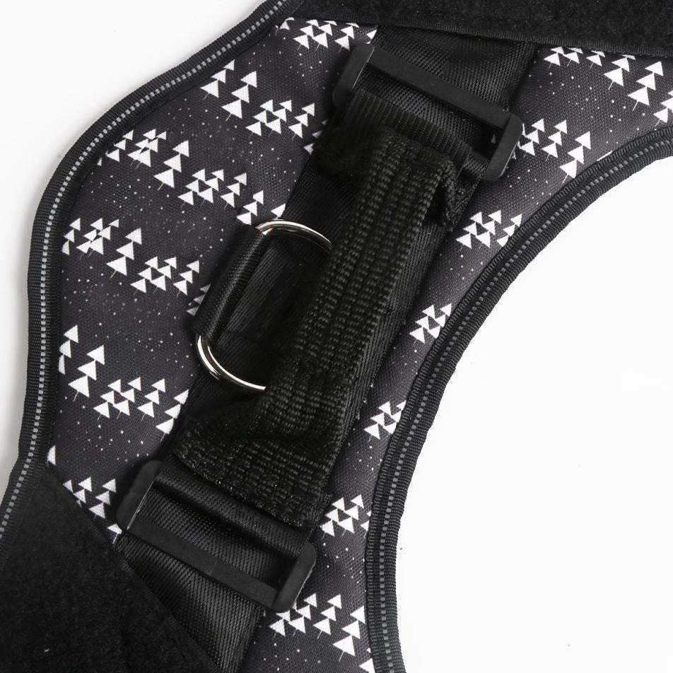 Custom No Pull Dog Harness With Name and Phone Number, Heavy Duty Personalized Pet Vest-Paw Print Pad