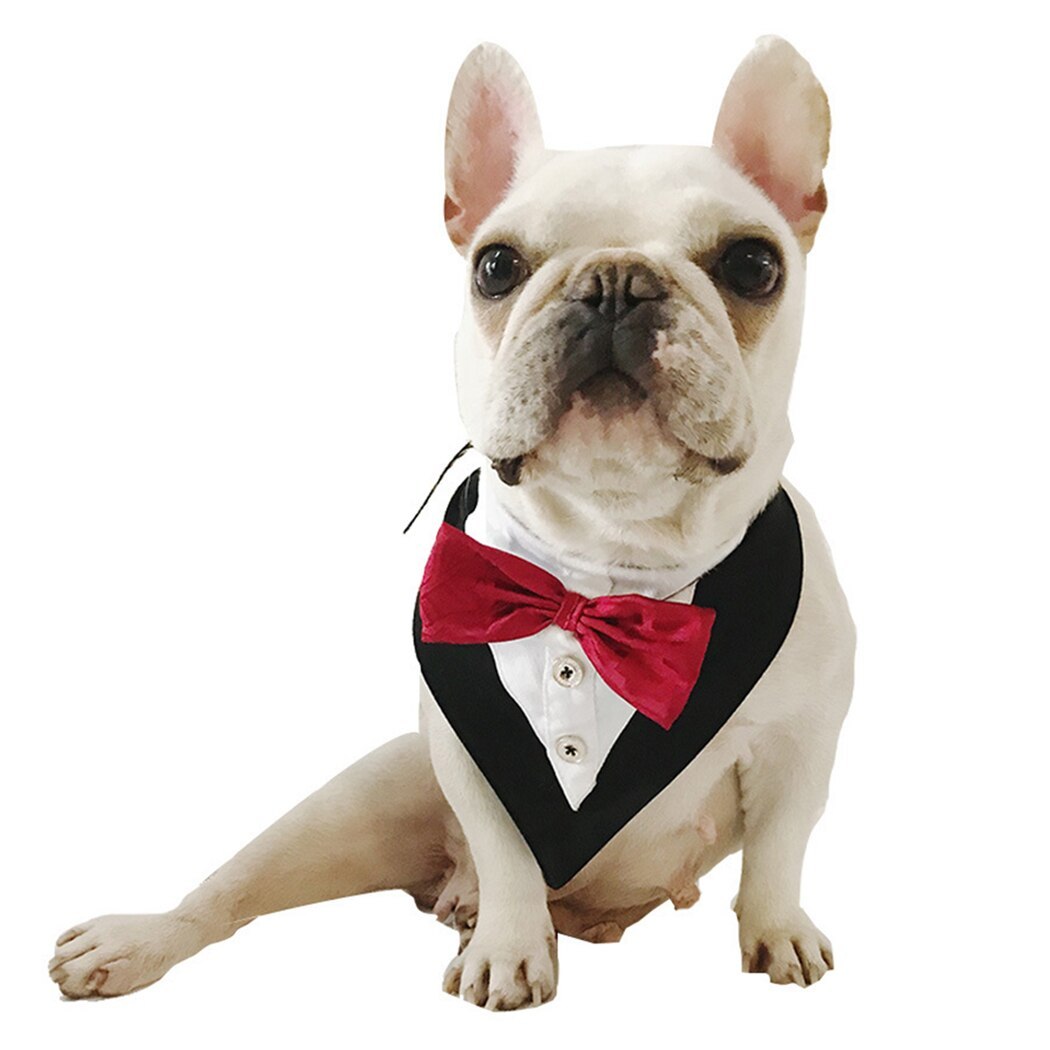 Collar Tie Triangle Clothing Neckerchief For Dog-Paw Print Pad