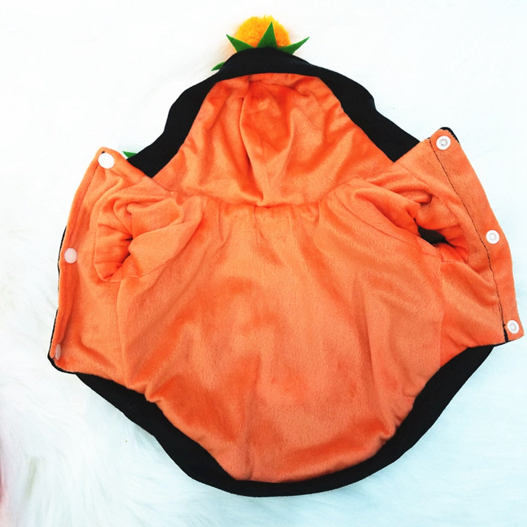 Halloween Hoodies For Dogs-Paw Print Pad