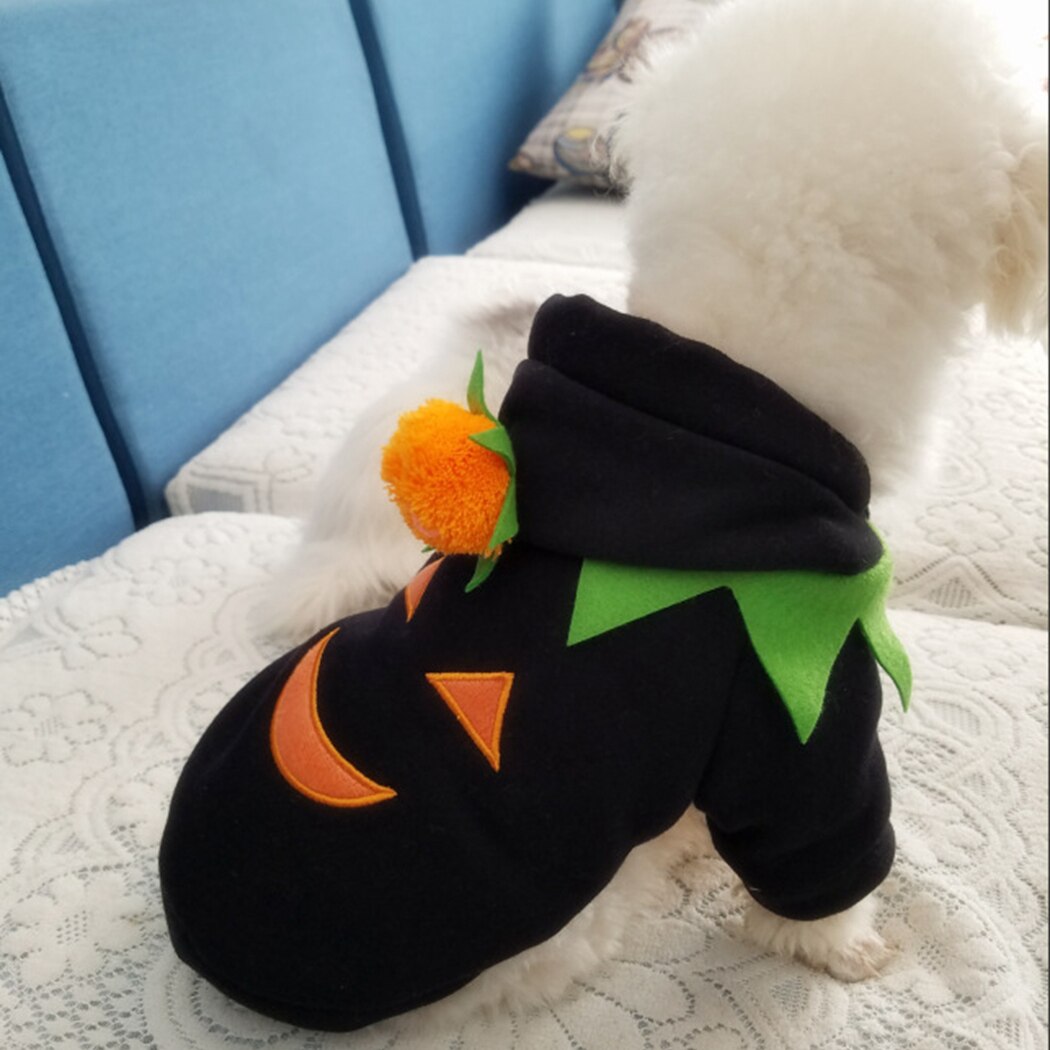 Halloween Hoodies For Dogs-Paw Print Pad