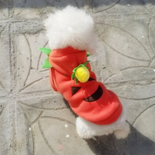 Halloween Hoodies For Dogs-Paw Print Pad