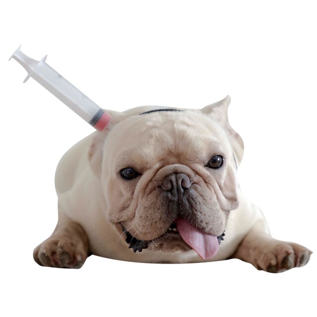 Dress Up Halloween Headband For Dog-Paw Print Pad