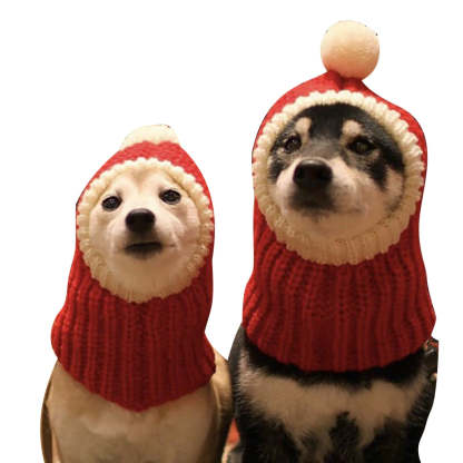 Knitted Warm Hat For Dogs-Paw Print Pad