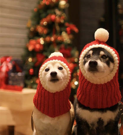 Knitted Warm Hat For Dogs-Paw Print Pad