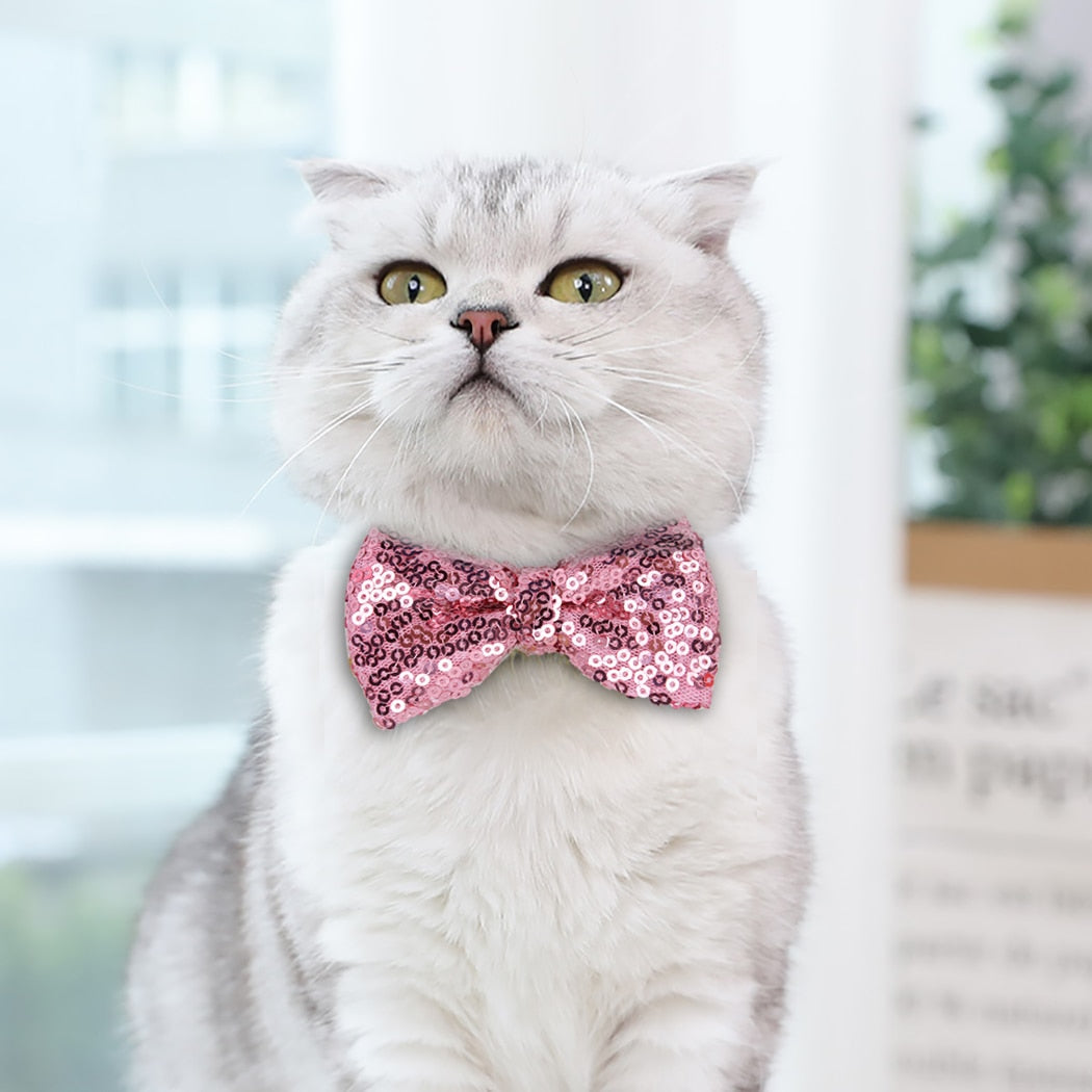 Cute Sequin Bowtie Collar For Cats-Paw Print Pad