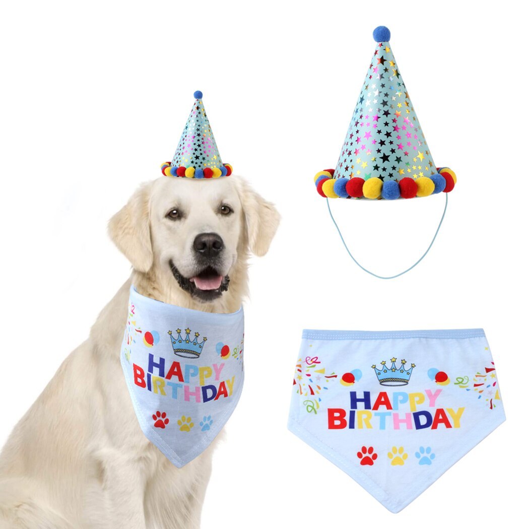 Birthday Set For Dogs-Paw Print Pad