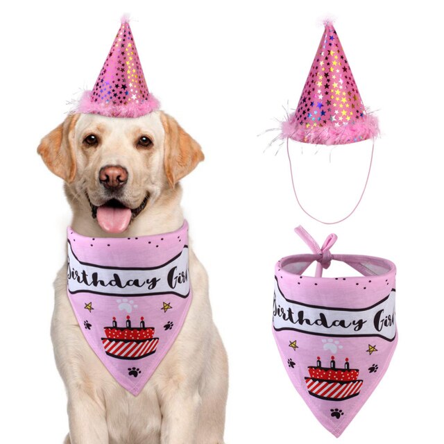 Birthday Set For Dogs-Paw Print Pad