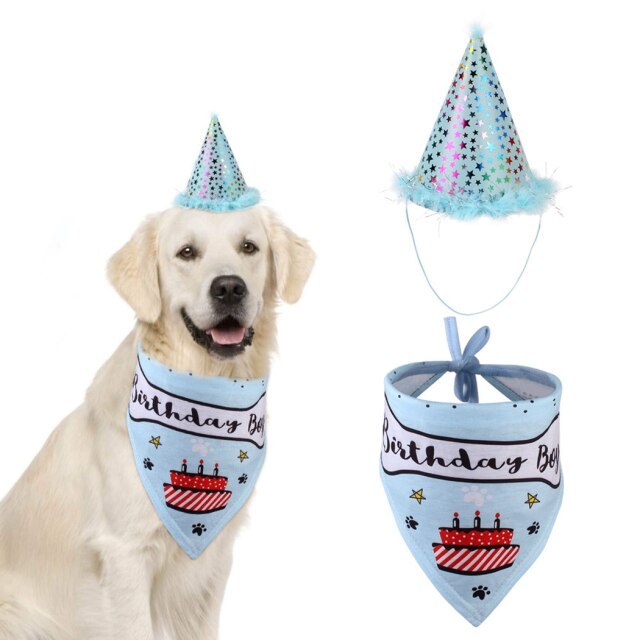 Birthday Set For Dogs-Paw Print Pad