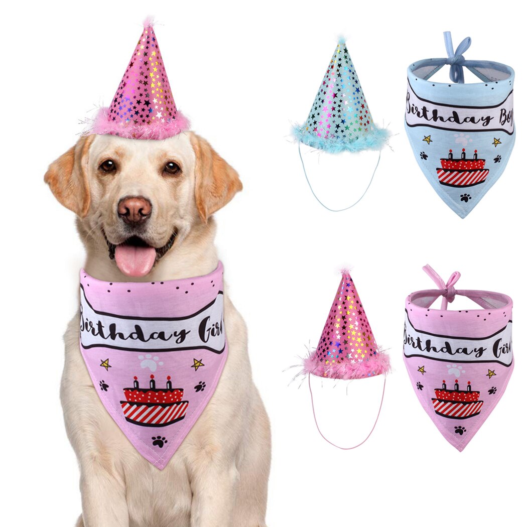 Birthday Set For Dogs-Paw Print Pad