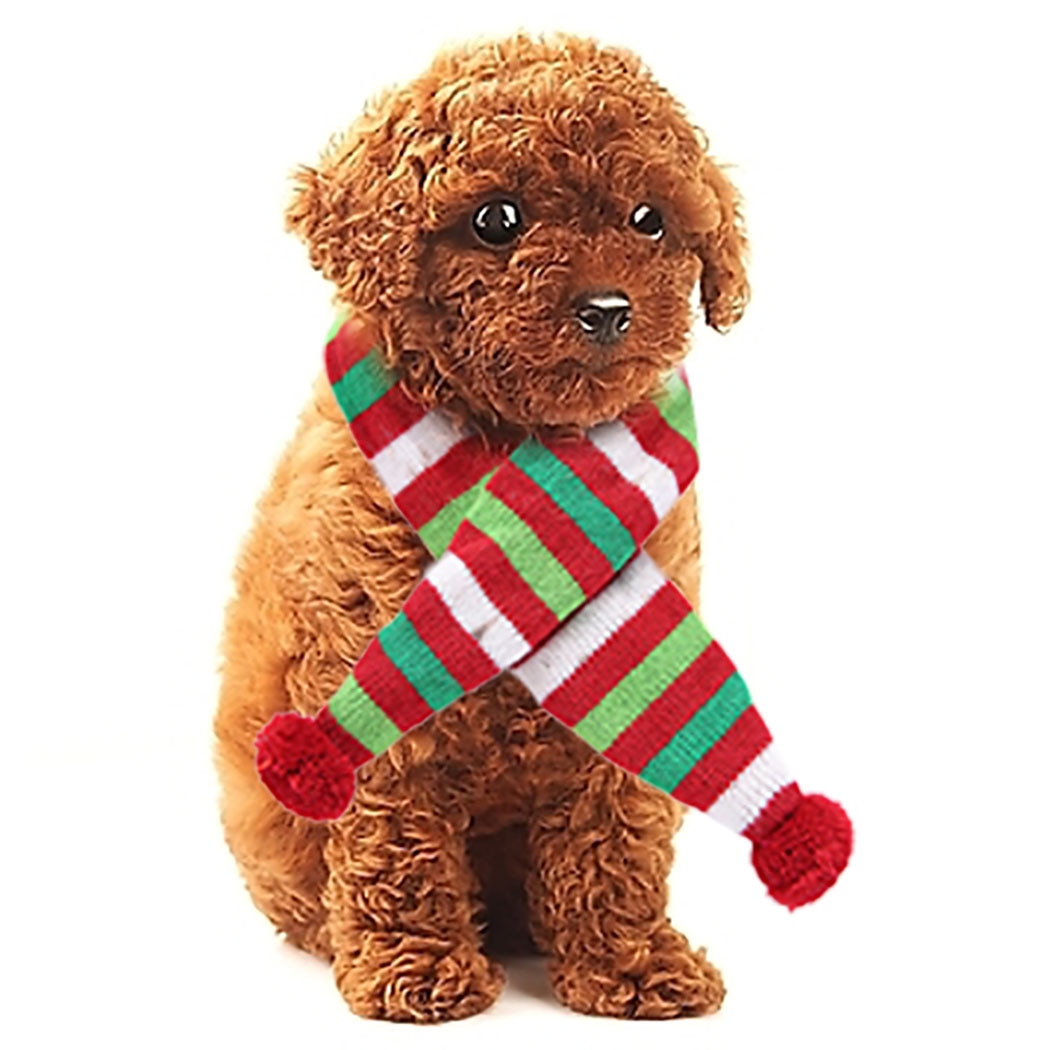 Christmas Stripe Scarf For Dog-Paw Print Pad