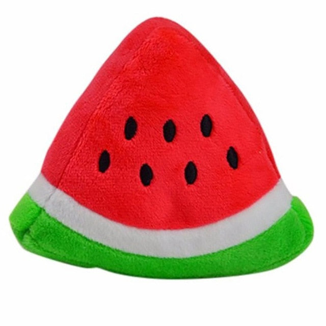Squeaky Dog Toys