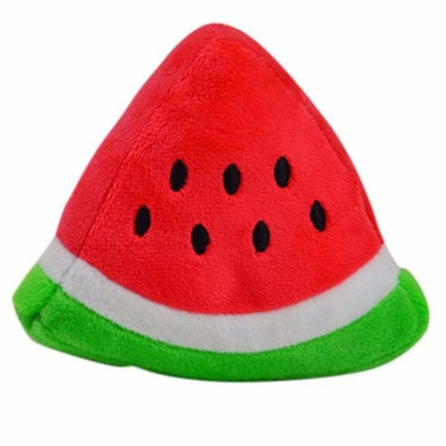 Squeaky Dog Toys