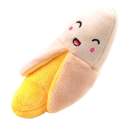 Squeaky Dog Toys